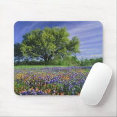 Live Oak & Texas Paintbrush und Texas Mousepad (Mit Mouse)