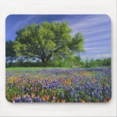Live Oak & Texas Paintbrush und Texas Mousepad (Vorne)