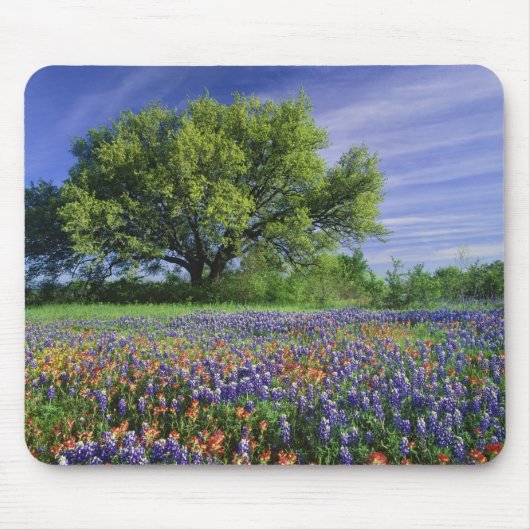 Live Oak & Texas Paintbrush und Texas Mousepad (Vorne)