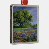 Live Oak & Texas Paintbrush und Texas Ornament Aus Metall (Rechts)