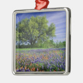 Live Oak & Texas Paintbrush und Texas Ornament Aus Metall (Links)