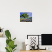 Live Oak & Texas Paintbrush und Texas Poster (Heimbüro)