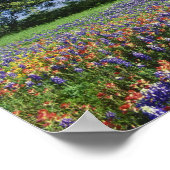 Live Oak & Texas Paintbrush und Texas Poster (Ecke)