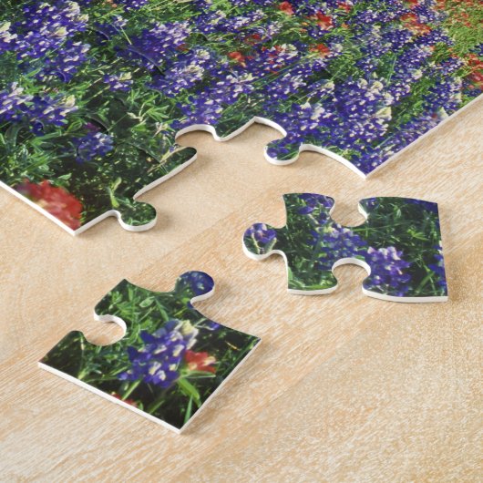 Live Oak & Texas Paintbrush und Texas Puzzle (Seite)