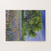 Live Oak & Texas Paintbrush und Texas Puzzle (Horizontal)