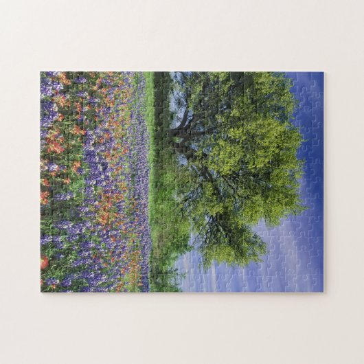 Live Oak & Texas Paintbrush und Texas Puzzle (Horizontal)