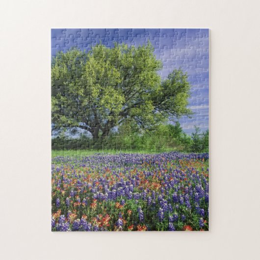 Live Oak & Texas Paintbrush und Texas Puzzle (Vertikal)