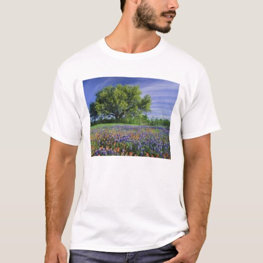 Live Oak & Texas Paintbrush und Texas T-Shirt (Vorderseite)