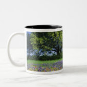 Live Oak & Texas Paintbrush und Texas Zweifarbige Tasse (Links)