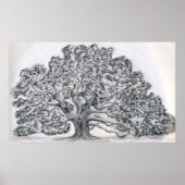 LIVE OAK TREE SKETCH POSTER (Vorne)