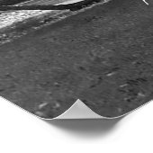 Live Oak Trees Proverb Poster Print (Ecke)