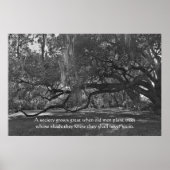 Live Oak Trees Proverb Poster Print (Vorne)