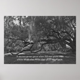 Live Oak Trees Proverb Poster Print