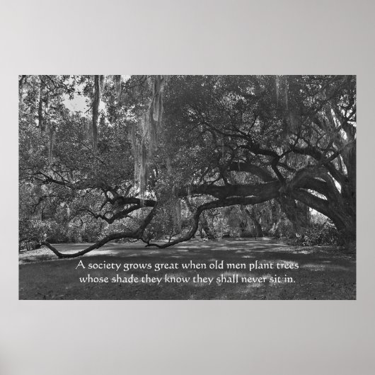 Live Oak Trees Proverb Poster Print (Vorne)