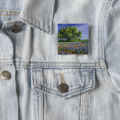 Live Oak und Texas Paintbrush und Texas Button (Beispiel)