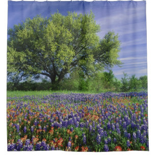Live Oak und Texas Paintbrush und Texas Duschvorhang