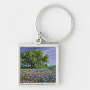 Live Oak und Texas Paintbrush und Texas Schlüsselanhänger
