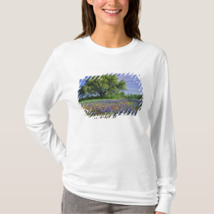 Live Oak und Texas Paintbrush und Texas T-Shirt
