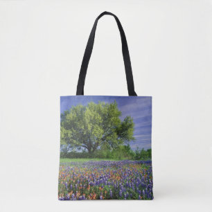 Live Oak und Texas Paintbrush und Texas Tasche