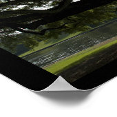 Live Oaks - Louisiana Poster (Ecke)