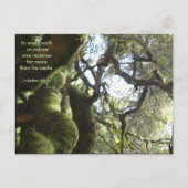 Live Oaks Muir Zitat Postkarte (Vorderseite)