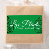 Live-Pflanze behandeln Sie bitte mit Care Monstera (Insitu)