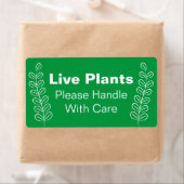 Live-Pflanze bitte mit grünem Weiß umgehen (Insitu)