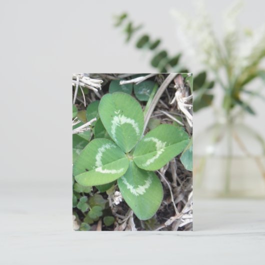 Live Real 4 Leaf Cloud Foto Postkarte (Stehend Vorderseite)