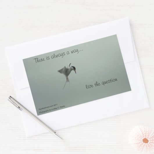 Live the Question Stickers (Umschlag)