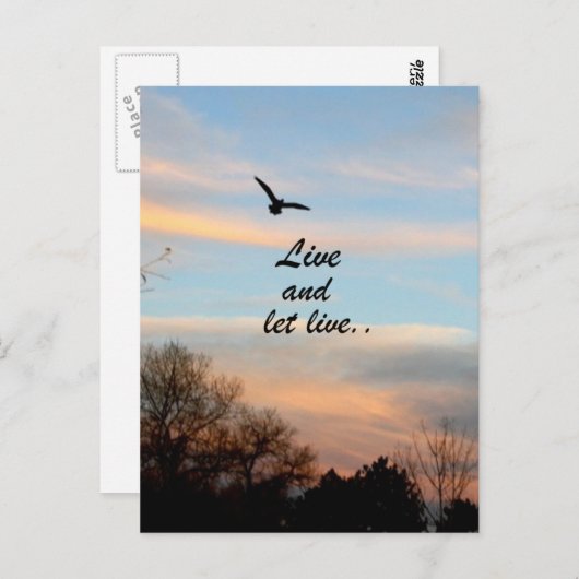 Live und Lass Postkarte (Vorne/Hinten)
