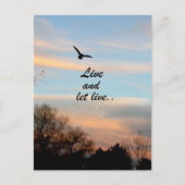 Live und Lass Postkarte (Vorderseite)