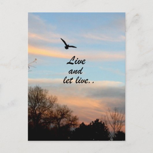Live und Lass Postkarte (Vorderseite)