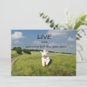 "Live wie jemand verließ dem Tor offene" Einladung (Stehend Vorderseite)