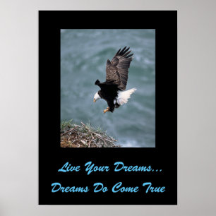 Live Your Dream Poster