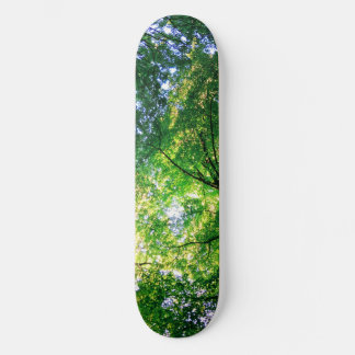 LiveGreen-Skateboard Skateboard