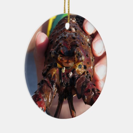 Livehummer Keramikornament (Rechts)