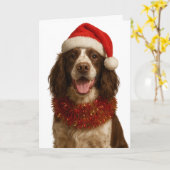 Liver and white Springer Spaniel Christmas card Karte (Gelbe Blume)