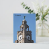 Liver Bird Postcard Postkarte (Stehend Vorderseite)
