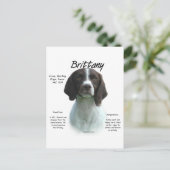 Liver Brittany Spanische Geschichte Postkarte (Stehend Vorderseite)