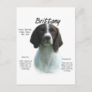 Liver Brittany Spanische Geschichte Postkarte