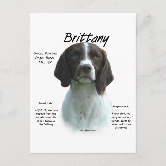 Liver Brittany Spanische Geschichte Postkarte (Vorderseite)