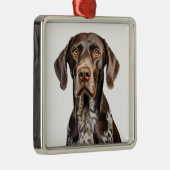 LIVER & WHITE DEUTSCHE KURTHAIRED POINTER DOG ORNAMENT AUS METALL (Rechts)