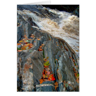 Livermore Blätter: Karte