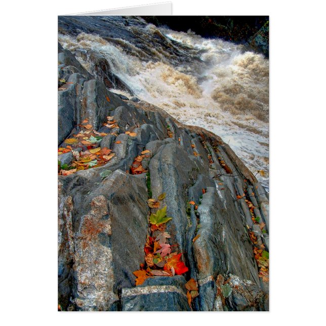 Livermore Blätter: Karte (Vorne)