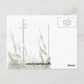 Livermore Postkarte (Rückseite)