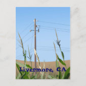 Livermore Postkarte (Vorderseite)