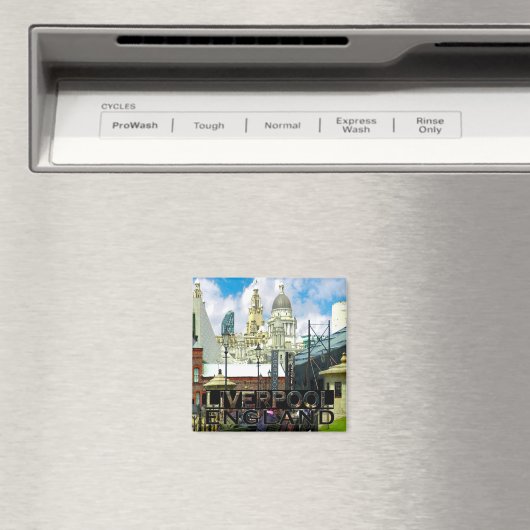 Liverpool Magnet (In Situ (Geschirrspüler))