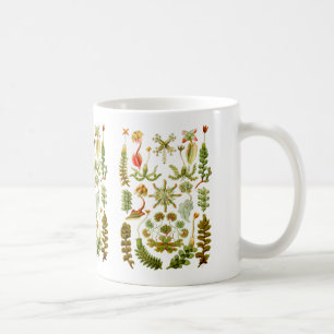 Liverworts Kaffeetasse