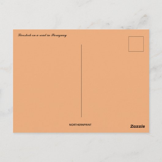Livestock on a Road in Paraguay Postkarte (Rückseite)