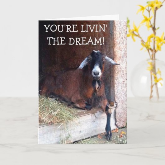 Livin' Dream Funny Goat Geburtstag Karte (Gelbe Blume)